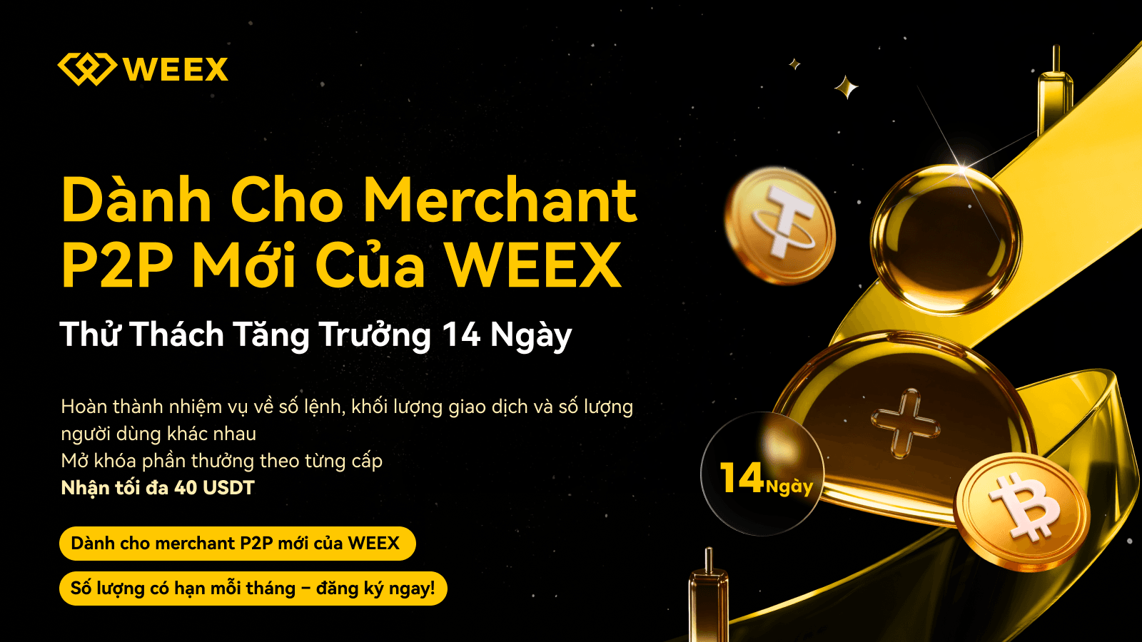 New Merchant Growth Program_vi.png