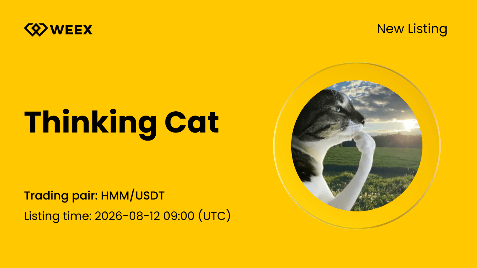 Neues Listing: Thinking Cat (HMM) jetzt auf WEEX verfügbar