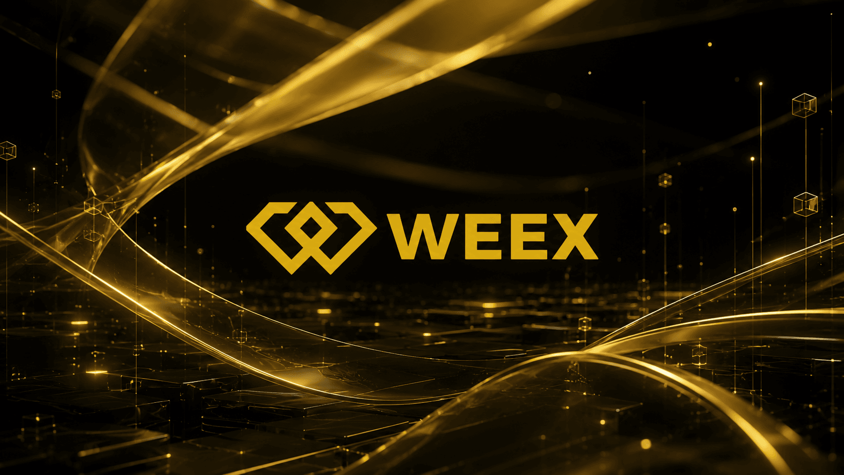 WEEX Exchange Features