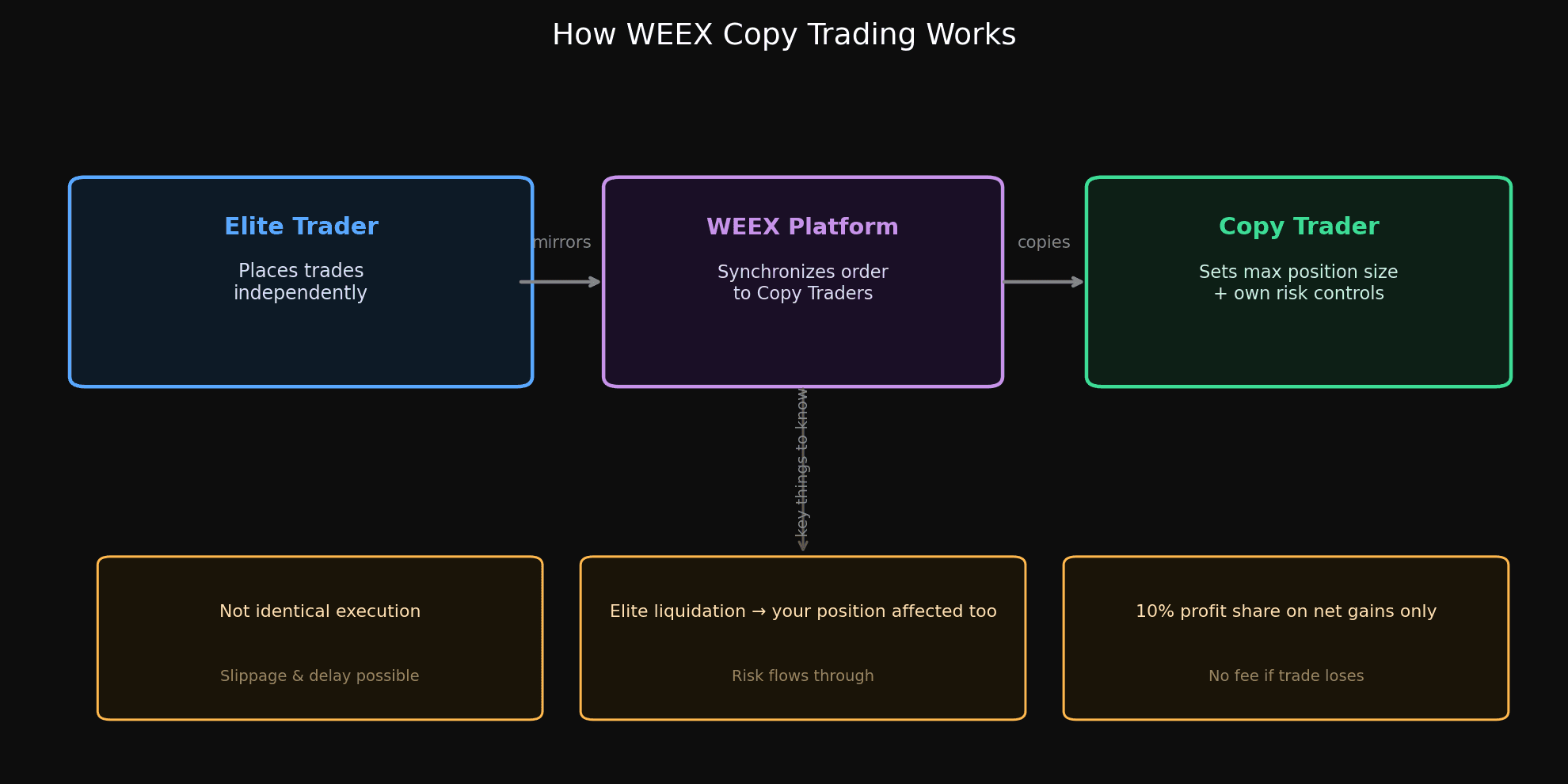 How WEEX Copy Trading Works